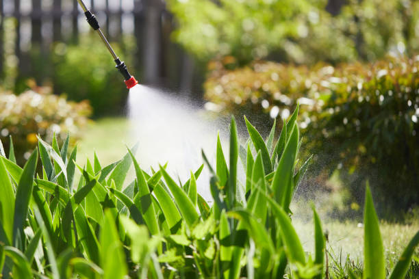 Tamper-Resistant Bait Stations for Rodents in Gateway