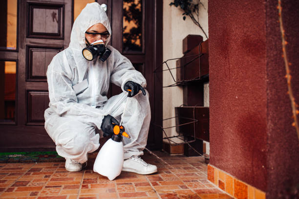 Attic and Crawl Space Rodent Treatment in Gateway