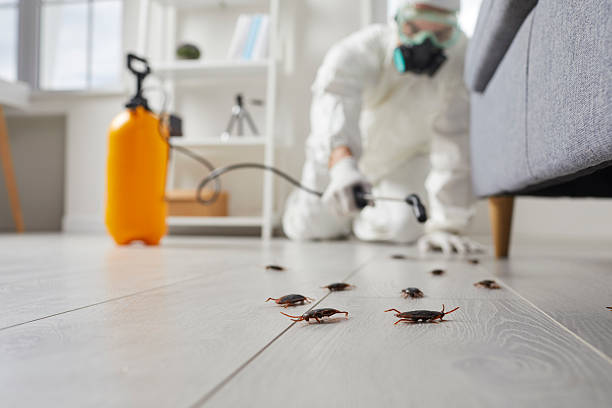 Commercial Rodent Management in Gateway